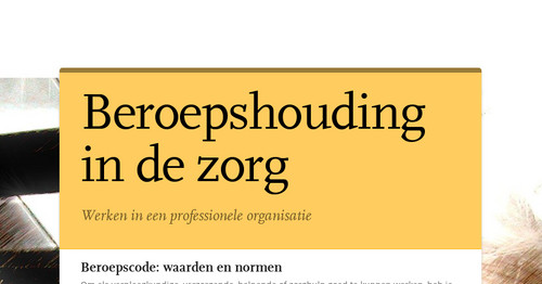 Beroepshouding in de zorg