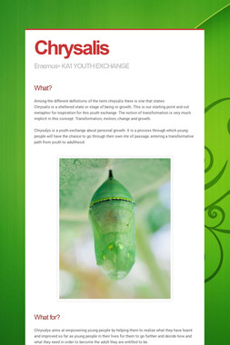Chrysalis